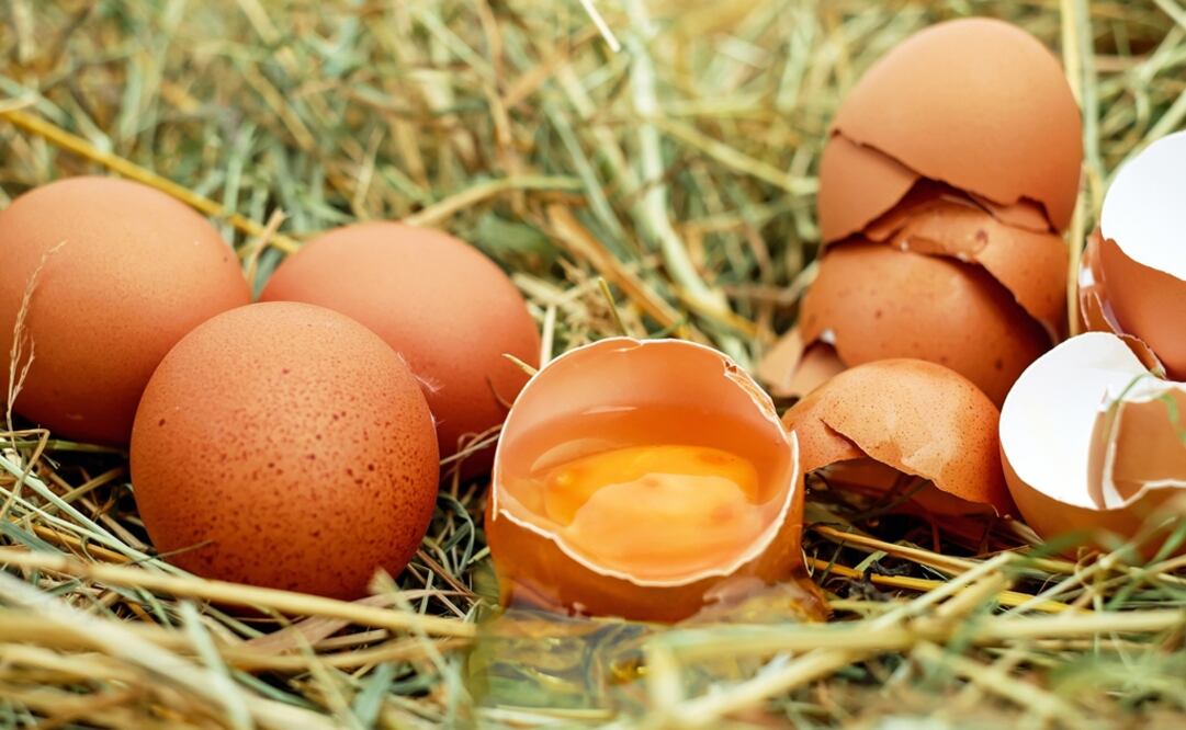 El huevo contiene colesterol bueno y otros muchos nutrientes. / Fotos: Cortesía Pixabay.