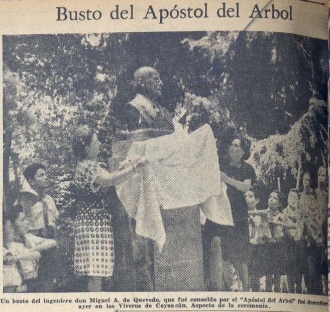 Miguel Ángel de Quevedo, el legendario defensor de árboles desde el Porfiriato