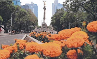 CNTE ahorca Reforma; Clara siembra cempasúchil