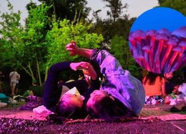 Cuándo es el picnic de Chapultepec con hongos bioluminiscentes