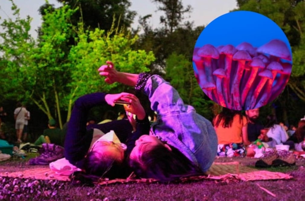 Disfruta este picnic nocturno en el Bosque de Chapultepec como parte del Festival Spora 2025. Foto: Pexels / Marek Piwnicki