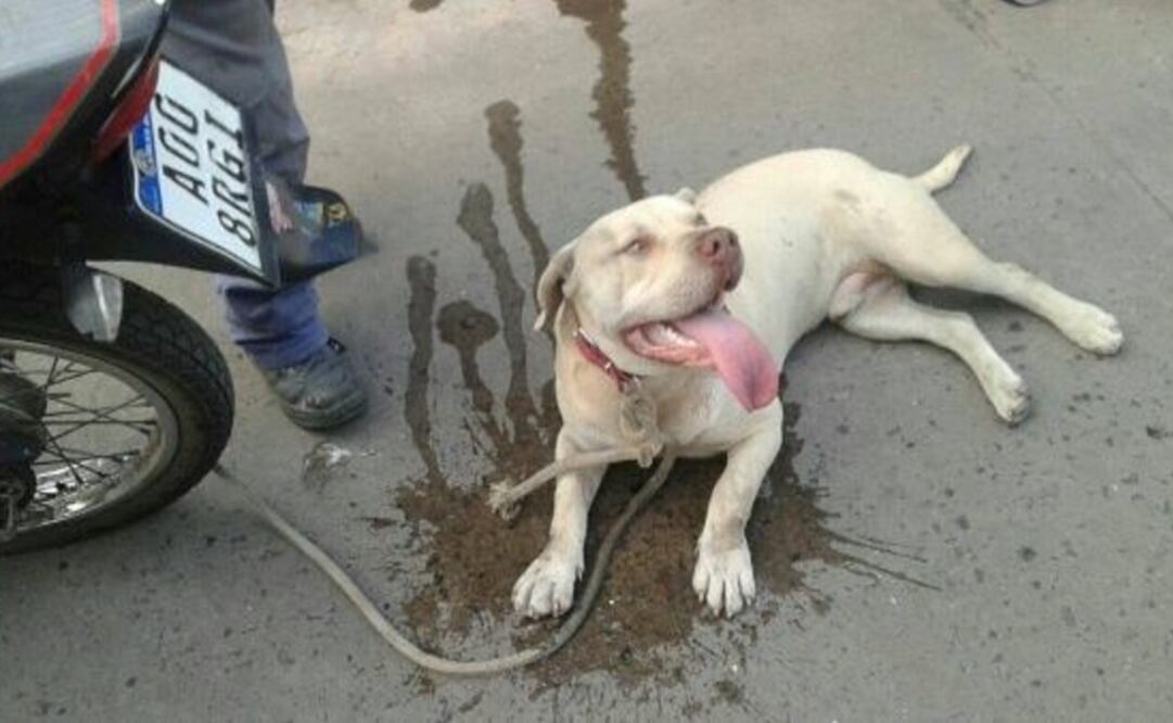 (Foto: Captura de pantalla)