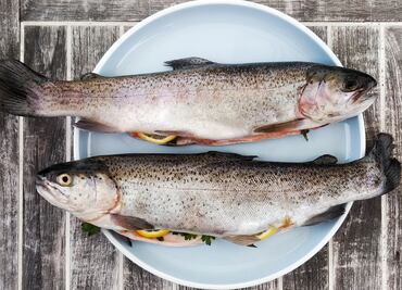 El bacalao: la comida tradicional que en Noruega se come todos los días