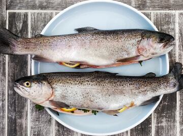 El bacalao: la comida tradicional que en Noruega se come todos los días