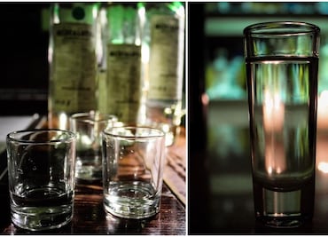 4 espirituosos de agave que no son ni tequila, ni mezcal