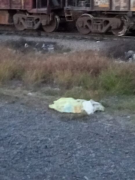 En la foto, el cuerpo de la bebé de meses de edad. Foto: Especial