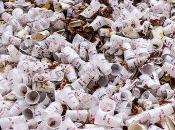 Los plásticos biodegradables también son tóxicos