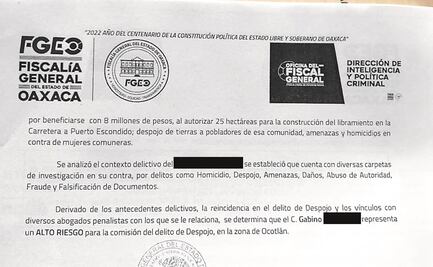 Red de despojos en Oaxaca está ligada a 34 asesinatos