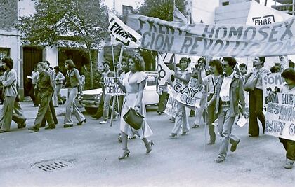 Diversidad: 45 años de la lucha a pie