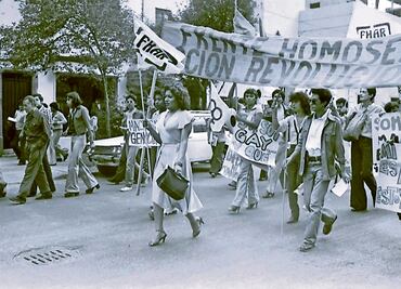 Diversidad: 45 años de la lucha a pie