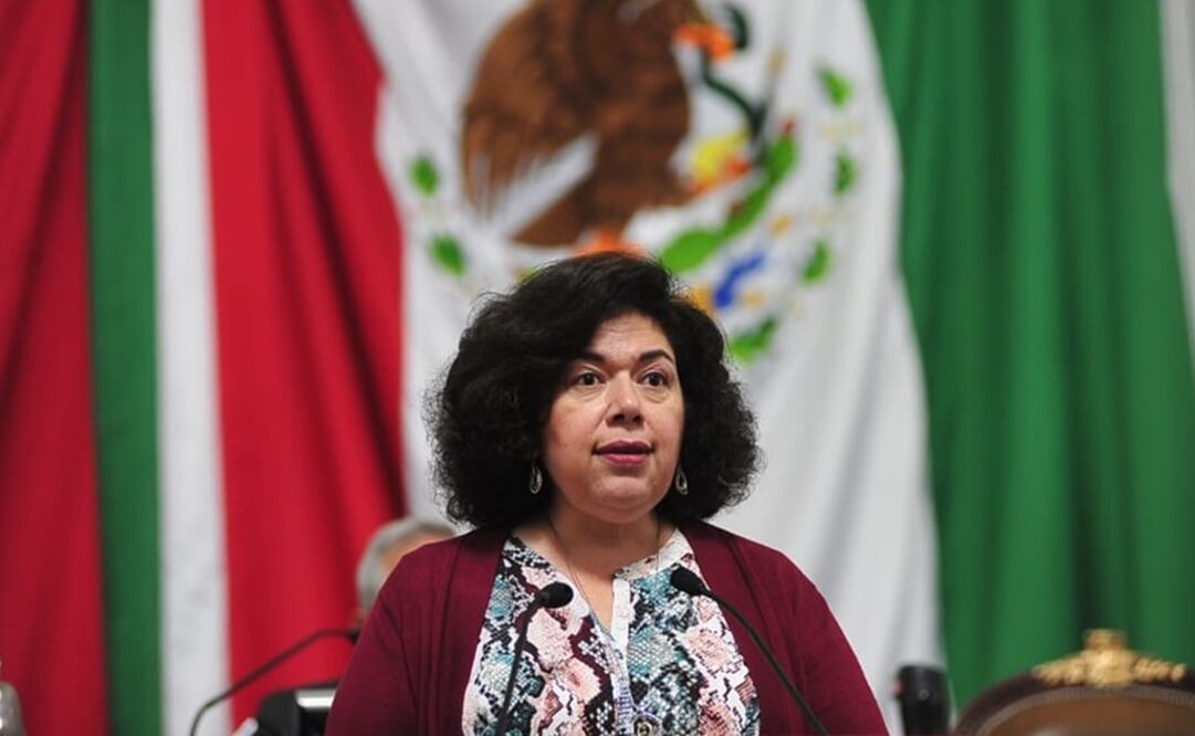 Diputada local de Morena, Guadalupe Morales Rubio.    Foto: Especial 