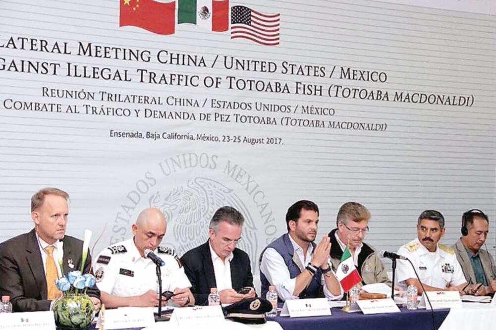 Autoridades de los tres países acordaron intercambiar prácticas y experiencias en torno al combate al tráfico de totoaba y la protección de la vaquita marina. (CORTESÍA)