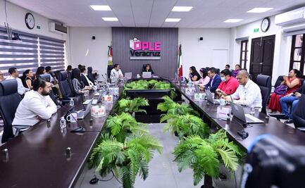 OPLE- Veracruz aprueba candidaturas para elección extraordinaria de Tamiahua; la jornada se realizará el 29 de marzo