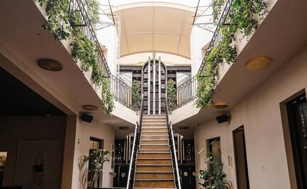 ¿Dónde comer en la Roma? Casa Prunes: mixología y restaurante Art Nouveau