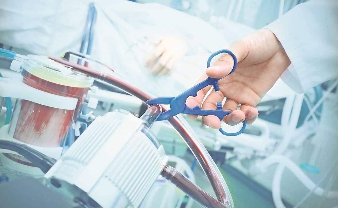 Foto ilustrativa: Archivo/ EL Universal