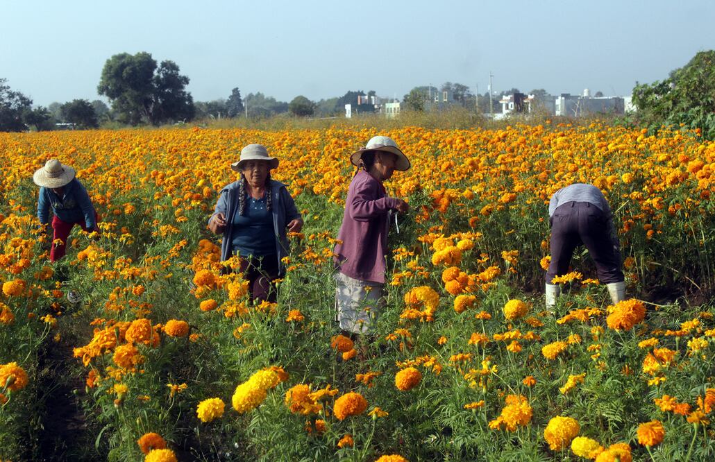 Fotos: Omar Contreras / EL UNIVERSAL
