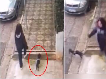 VIDEO: Cámara de seguridad capta momento en el que perrito “salva” la vida de su dueña