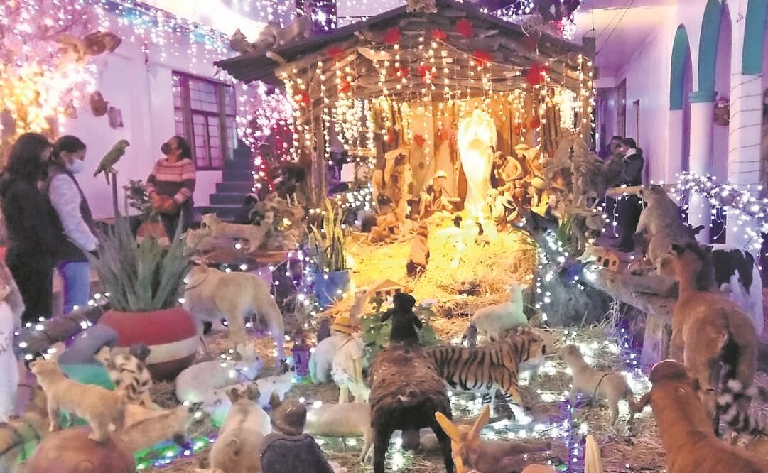 Uno de los nacimientos más grandes es el de la familia Ayapantécatl Meléndez, quienes colocan animalitos disecados, la mayoría pertenecen a sus corrales que mueren por el frío. Foto: Ana Vázquez