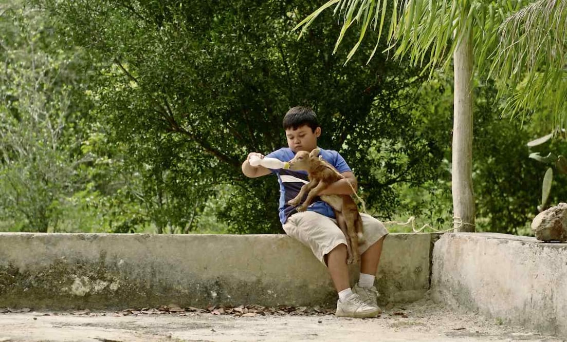 Sin darle detalles de la trama, el protagonista del filme, Rodrigo Ojeda entendió la intención de su personaje. Foto: Mandarina Cine