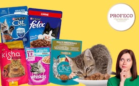 ¿Qué le das a tu michi?; Profeco exhibe marcas de alimento húmedo que no cumplen lo que prometen
