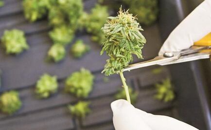 “Responsible” drug consumption