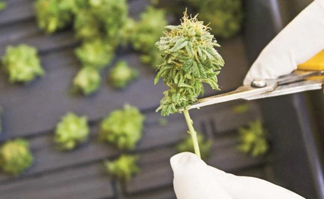 File photo/EL UNIVERSAL