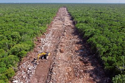 Van 282 agresiones contra defensores ambientalistas