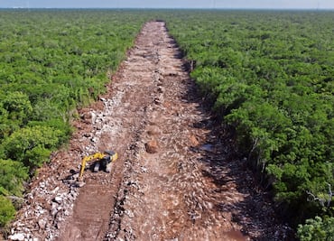 Van 282 agresiones contra defensores ambientalistas
