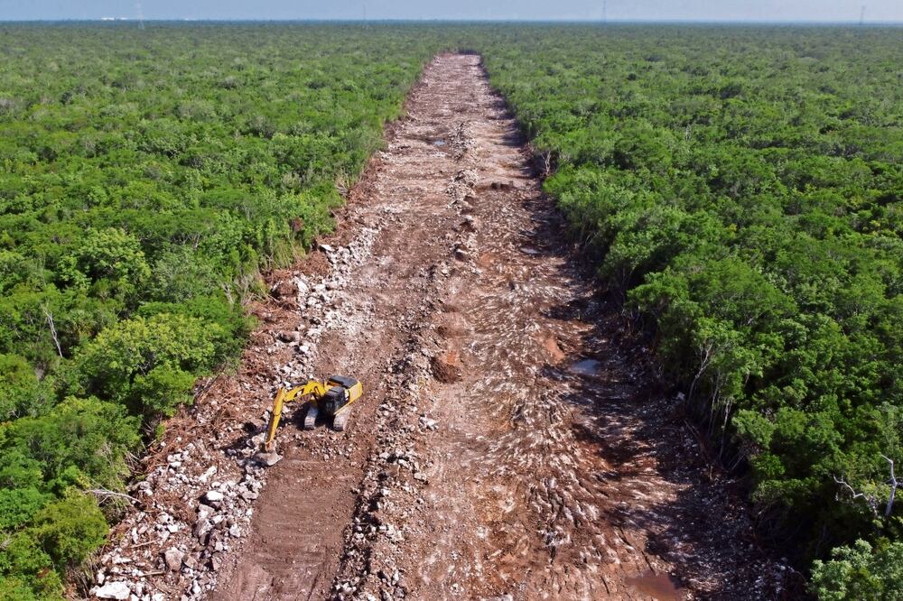 La mayoría de los hechos violentos se relacionan con megaproyectos como el Tren Maya, es decir, proyectos insignia del gobierno, dice el informe. Foto: Archivo | El Universal