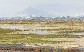 Trabajan en el rescate de la reserva ecológica El Caracol