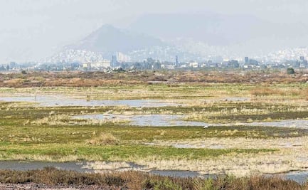 Trabajan en el rescate de la reserva ecológica El Caracol