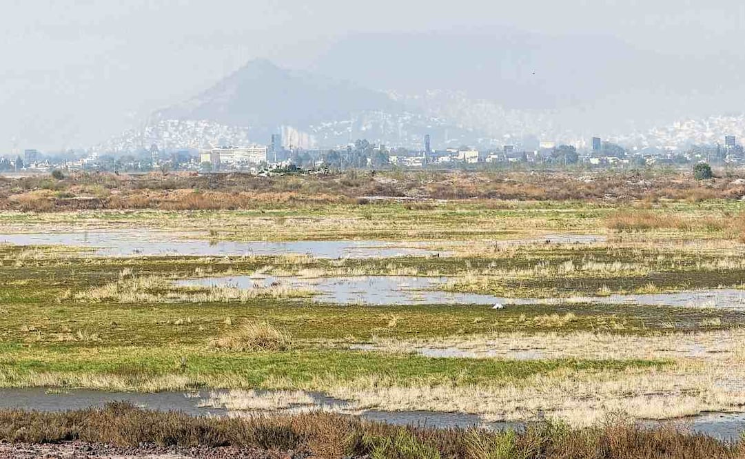 El proyecto para rescatar el área responde a más de 50 años de extracción intensiva de agua subterránea, indicó Jorge Fonseca. Foto: Especial