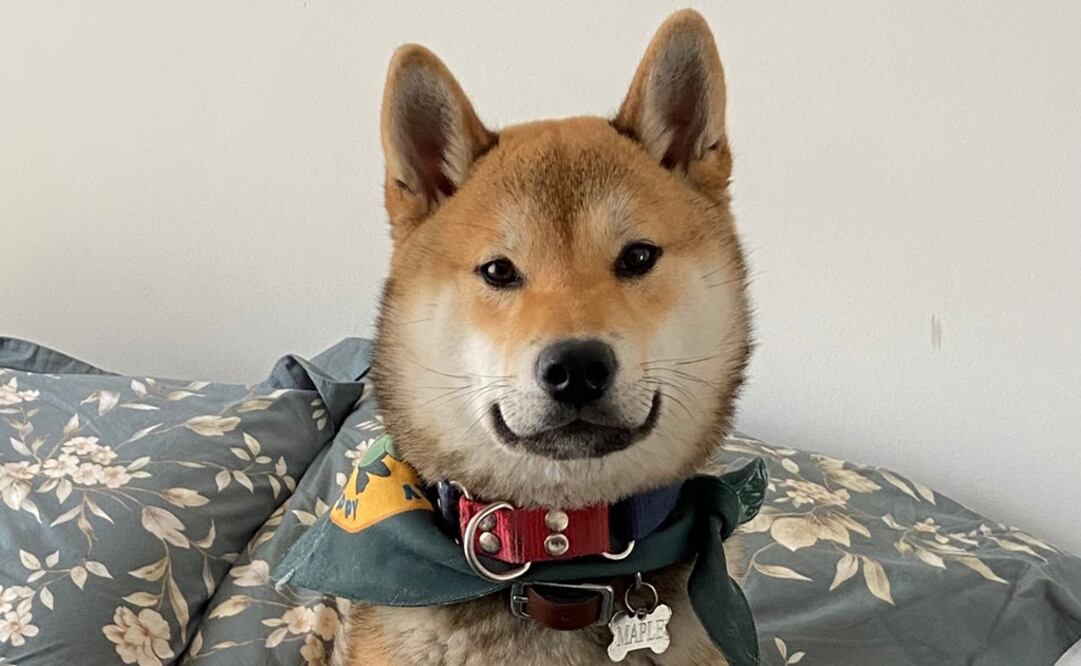 Foto: Cortesía Adriana Mondragon