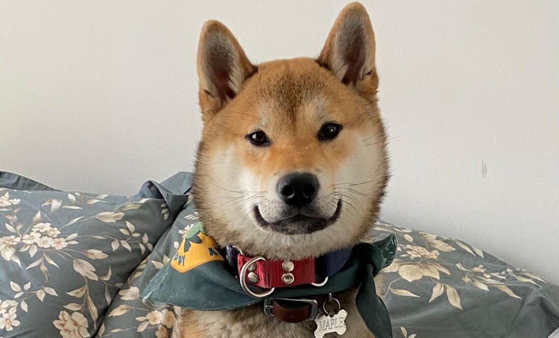 Foto: Cortesía Adriana Mondragon