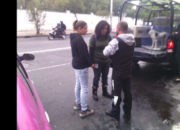 MH presentará denuncia por abandono de perros