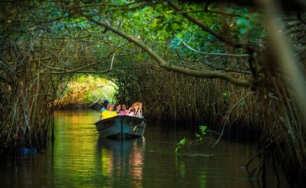 15 cosas qué hacer en Valle Nayarit, el nuevo destino turístico