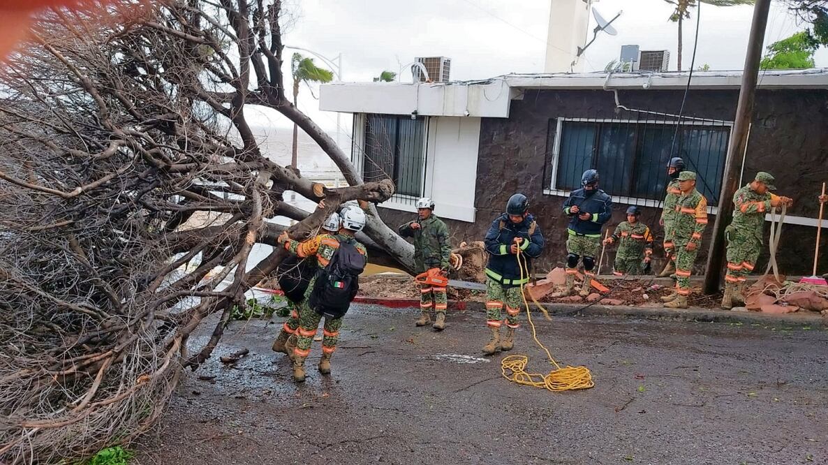 Elementos de Protección Civil trabajan para restablecer vialidades y quitar árboles que se cayeron luego de que la tormenta Norma tocó tierra en Baja California Sur. Foto: Especial