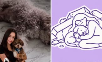 El dolor de Salomón conmueve a Colombia; rescatan a perrito cuya dueña falleció protegiéndolo en el sismo