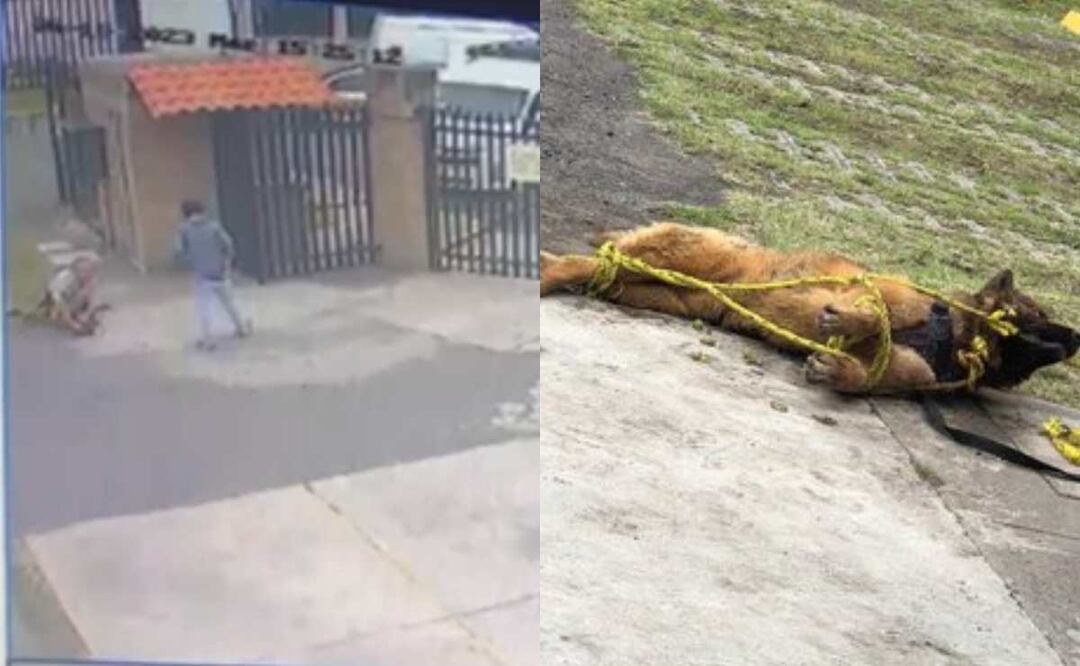 Daniel “N” y Nadia Elizabeth “N” son los presuntos responsables de la muerte de Kuko, un perro de asistencia. Foto: Captura de video / Especial