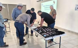 Chihuahua refuerza prevención ante gusano barrenador; capacita a productores para detectar casos