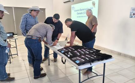 Chihuahua refuerza prevención ante gusano barrenador; capacita a productores para detectar casos
