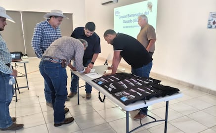 Chihuahua refuerza prevención ante gusano barrenador; capacita a productores para detectar casos