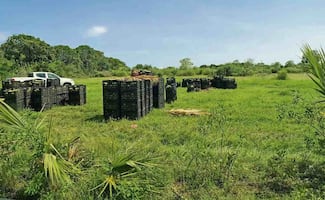 Roban a la Marina 22 toneladas de mango