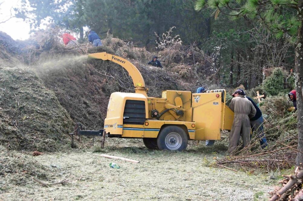 Los centros de acopio de Probosque convertirán en composta los arbustos que fueron el centro de los festejos navideños de decenas de miles de familias mexiquenses. (ESPECIAL)
