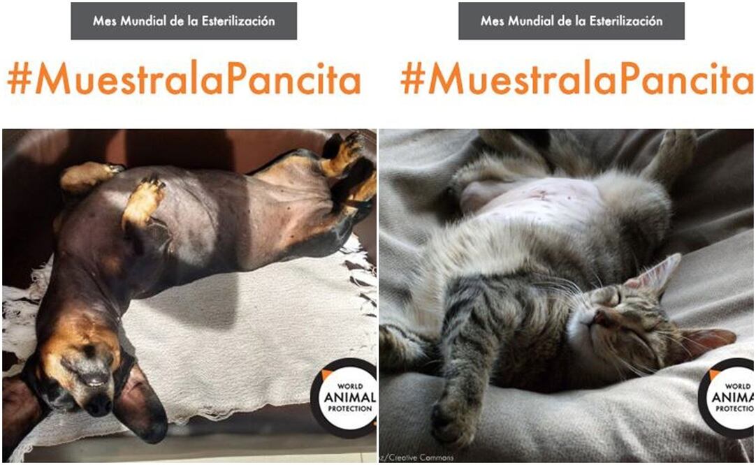 Fotos: tomadas de Facebook 