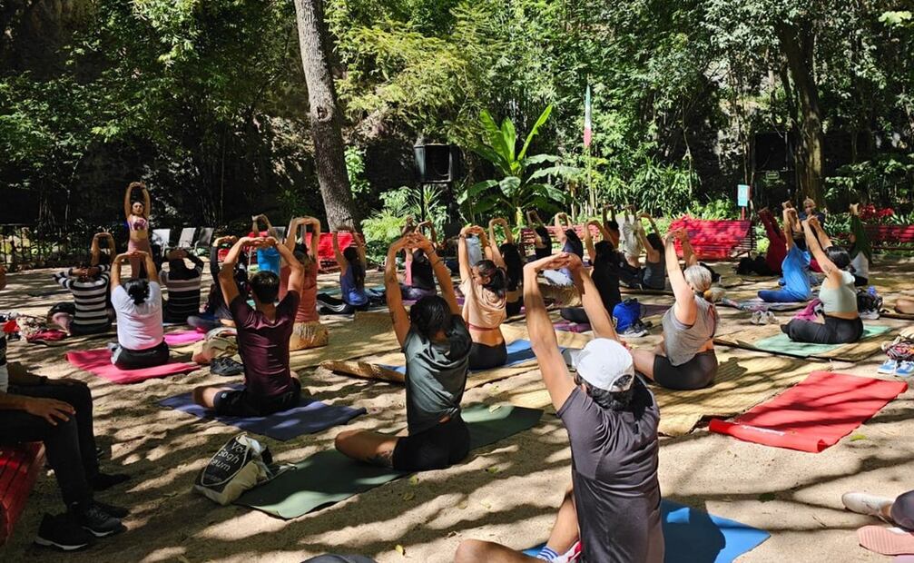 Clases de yoga en Chapultepec. Foto: X @ChapultepecCDMX