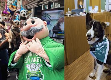 SimiPet Care: Dr Simi presenta a “Zaskya”, agente de la felicidad; adopción conmueve en la red