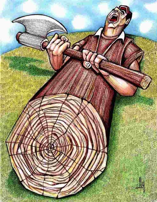 Cartón de LUY