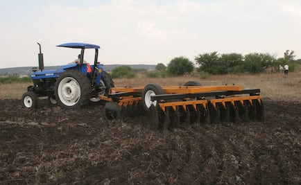 Impulsarán a jóvenes emprendedores en el agro