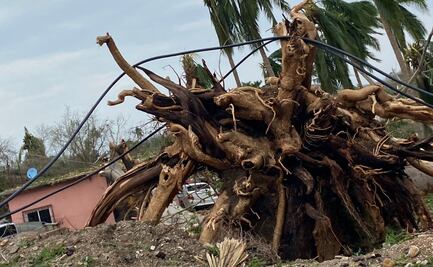 Suman 32 personas desaparecidas tras paso de Agatha en Oaxaca; confirman 11 muertos
